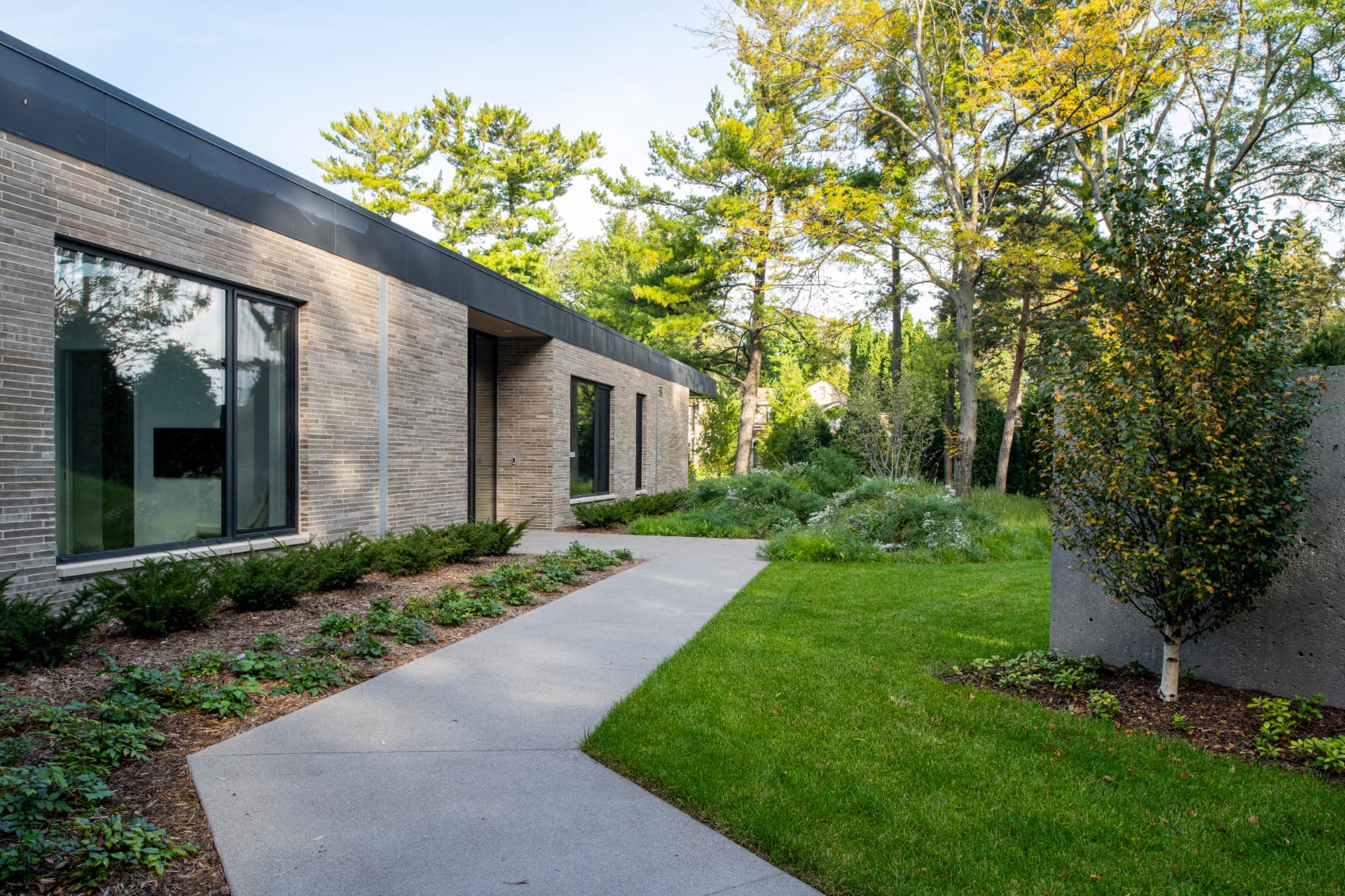 Shoreline Modern garden walk