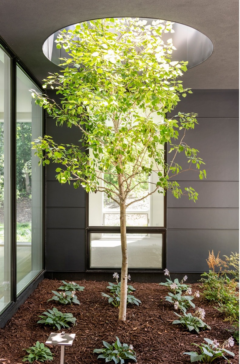 exterior of dark gray and white custom home