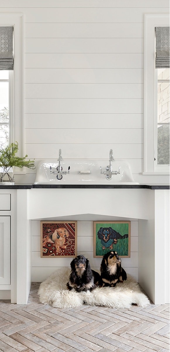 Edina Shingle Style Home