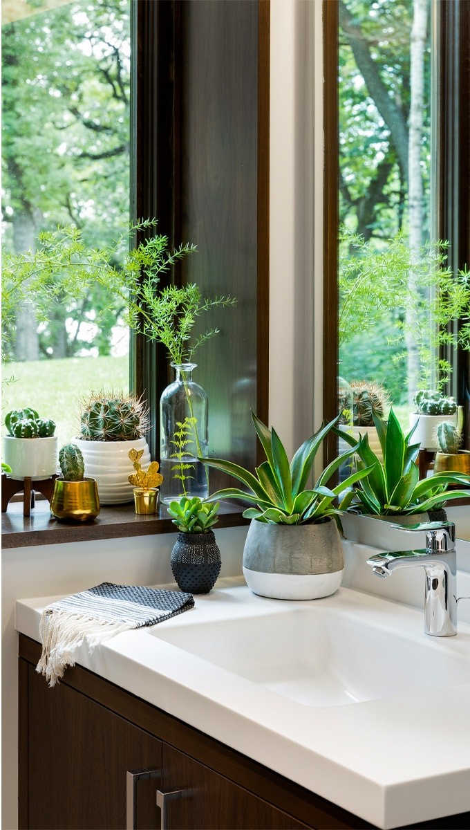 Custom Mendota Home
