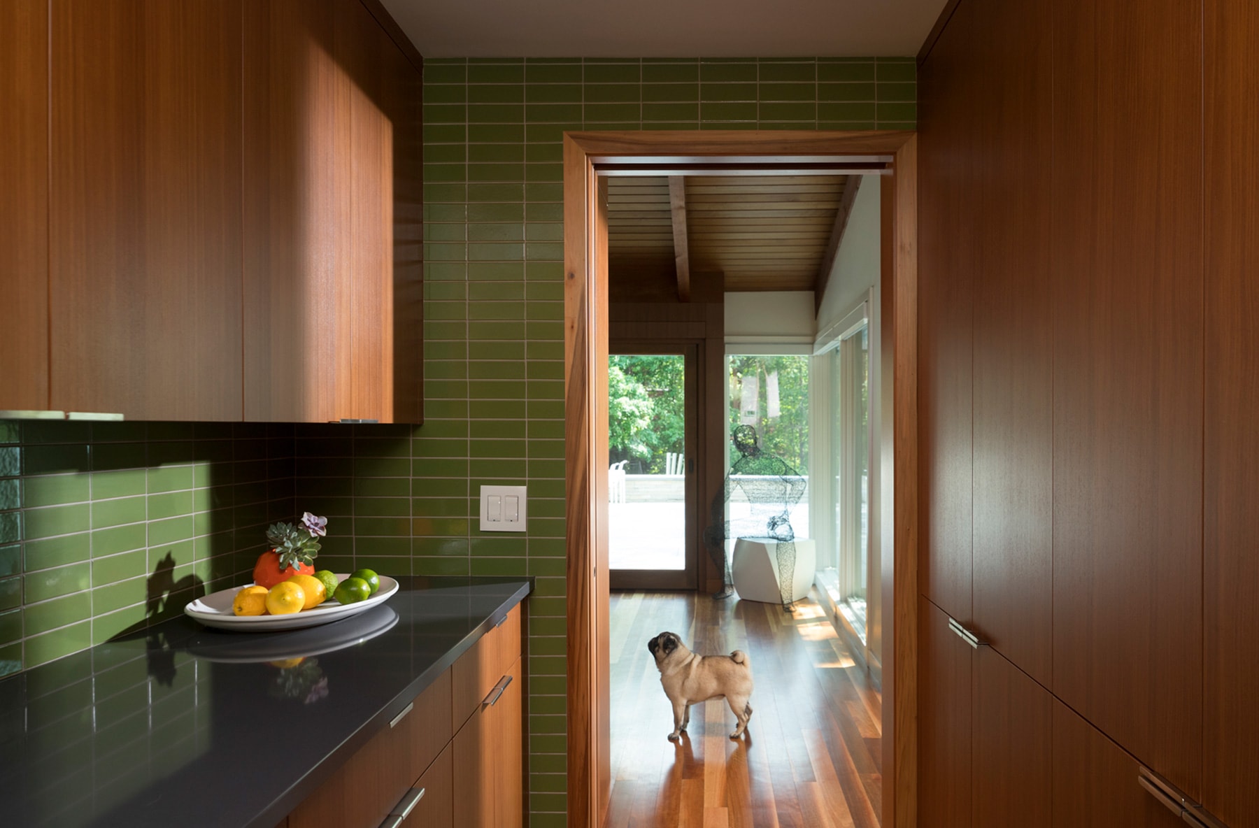 Mid Century Lake House